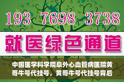 中国医学科学院阜外心血管病医院黄哥牛号代挂号，黄哥牛号代挂号背后的故事，阜外心血管病医院的探索与挑战