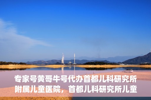 专家号黄哥牛号代办首都儿科研究所附属儿童医院，首都儿科研究所儿童医院专家号代办服务揭秘，黄哥牛号助您轻松预约专家号
