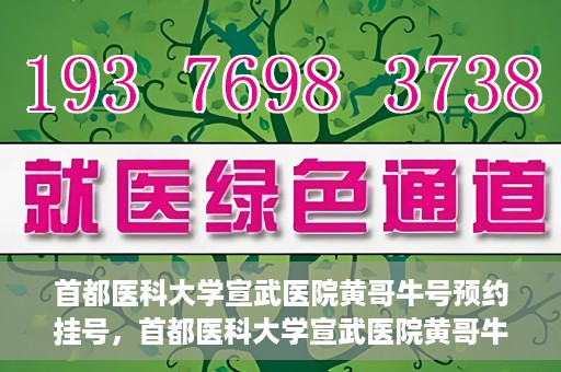 首都医科大学宣武医院黄哥牛号预约挂号，首都医科大学宣武医院黄哥牛号，预约挂号攻略