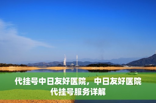 代挂号中日友好医院，中日友好医院代挂号服务详解