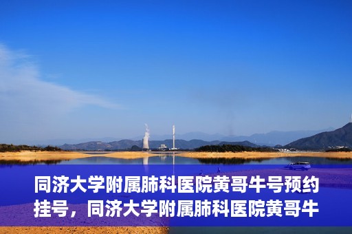 同济大学附属肺科医院黄哥牛号预约挂号，同济大学附属肺科医院黄哥牛预约挂号攻略，轻松预约专家号