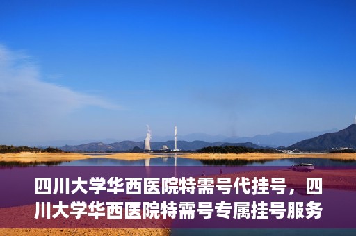 四川大学华西医院特需号代挂号，四川大学华西医院特需号专属挂号服务解析