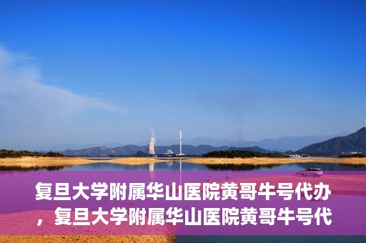 复旦大学附属华山医院黄哥牛号代办，复旦大学附属华山医院黄哥牛号代办，就医无忧，专业代办服务助您轻松就医体验