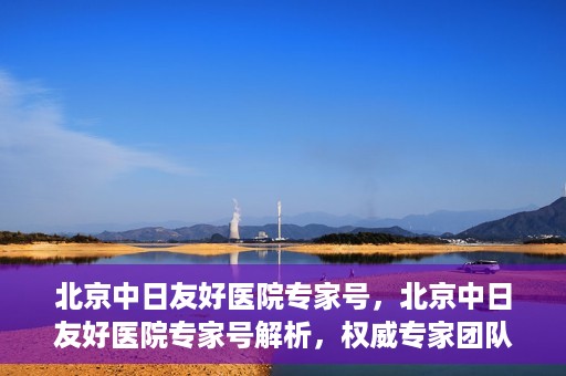 北京中日友好医院专家号，北京中日友好医院专家号解析，权威专家团队深度解读健康疑难杂症之道
