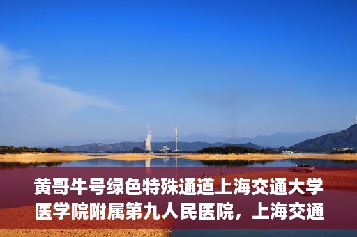 黄哥牛号绿色特殊通道上海交通大学医学院附属第九人民医院，上海交通大学医学院附属第九人民医院开通绿色特殊通道——黄哥牛号服务新篇章