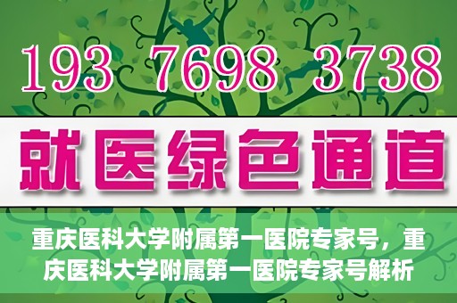重庆医科大学附属第一医院专家号，重庆医科大学附属第一医院专家号解析，专业团队与尖端医疗的完美结合