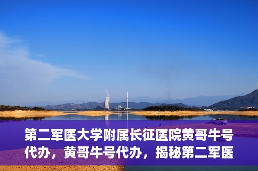 第二军医大学附属长征医院黄哥牛号代办，黄哥牛号代办，揭秘第二军医大学附属长征医院的医疗服务新篇章