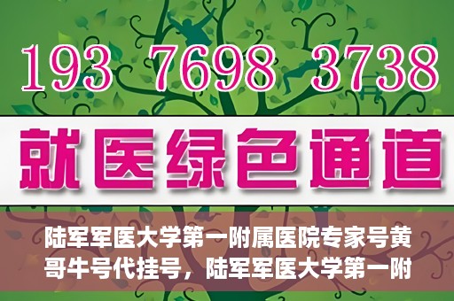 陆军军医大学第一附属医院专家号黄哥牛号代挂号，陆军军医大学第一附属医院专家黄哥挂号攻略，解读牛号代挂号背后的秘密