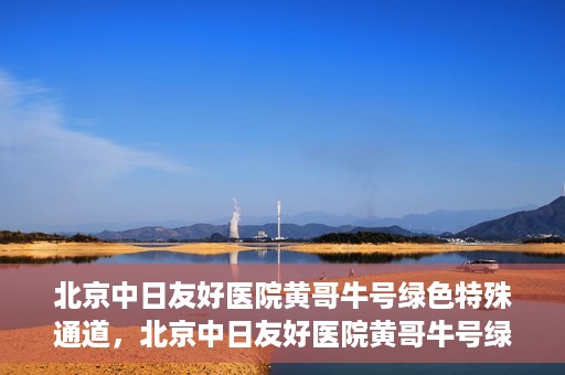 北京中日友好医院黄哥牛号绿色特殊通道，北京中日友好医院黄哥牛号绿色就医特殊通道解析
