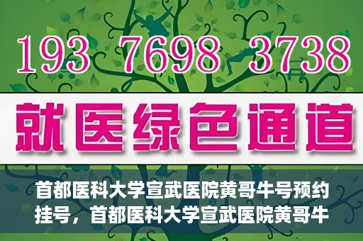首都医科大学宣武医院黄哥牛号预约挂号，首都医科大学宣武医院黄哥牛号，预约挂号攻略