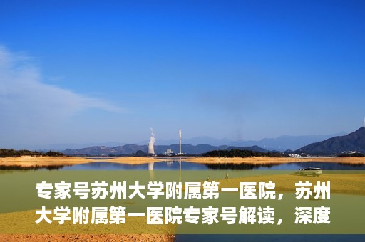 专家号苏州大学附属第一医院，苏州大学附属第一医院专家号解读，深度剖析医疗专业与服务质量
