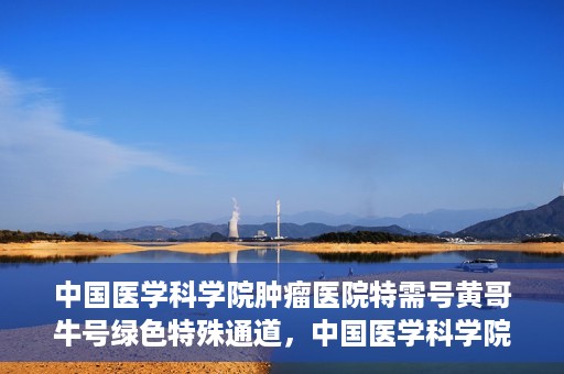 中国医学科学院肿瘤医院特需号黄哥牛号绿色特殊通道，中国医学科学院肿瘤医院特需号黄哥牛号绿色通道解析