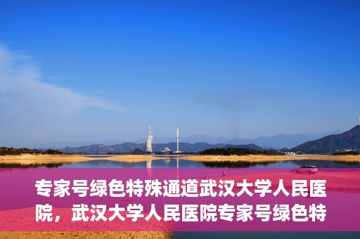 专家号绿色特殊通道武汉大学人民医院，武汉大学人民医院专家号绿色特殊通道解析