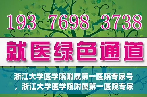 浙江大学医学院附属第一医院专家号，浙江大学医学院附属第一医院专家号解析，权威医疗团队与尖端诊疗技术共筑健康防线