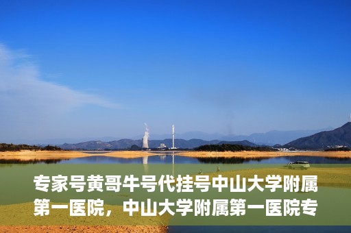 专家号黄哥牛号代挂号中山大学附属第一医院，中山大学附属第一医院专家号黄哥牛号代挂号解析