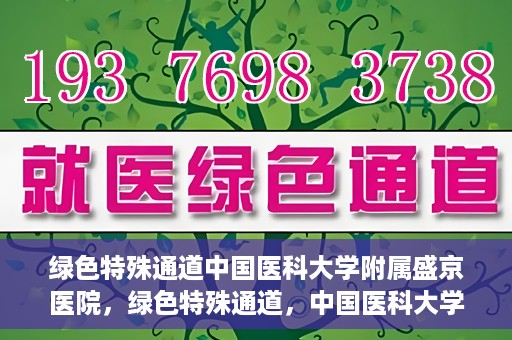 绿色特殊通道中国医科大学附属盛京医院，绿色特殊通道，中国医科大学附属盛京医院的探索与实践