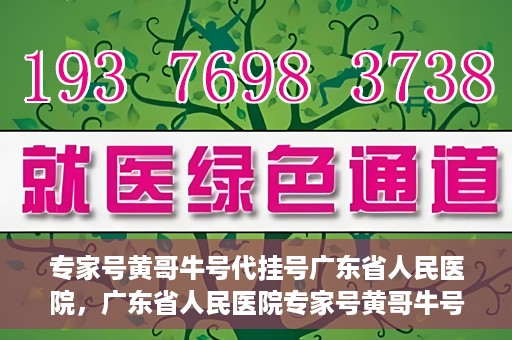 专家号黄哥牛号代挂号广东省人民医院，广东省人民医院专家号黄哥牛号代挂号服务解析