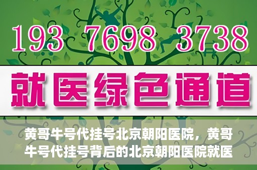 黄哥牛号代挂号北京朝阳医院，黄哥牛号代挂号背后的北京朝阳医院就医现象观察