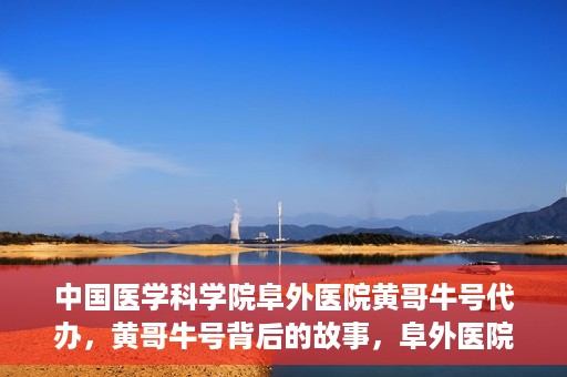中国医学科学院阜外医院黄哥牛号代办，黄哥牛号背后的故事，阜外医院名医揭秘与医疗服务的深度解读