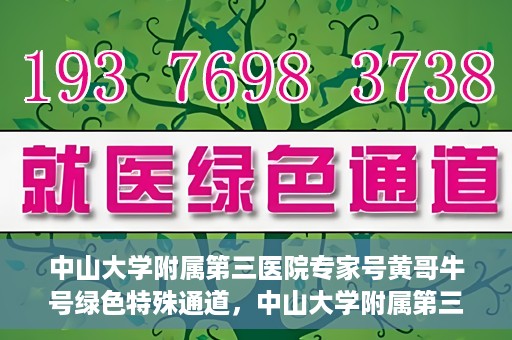 中山大学附属第三医院专家号黄哥牛号绿色特殊通道，中山大学附属第三医院专家号黄哥牛号，绿色特殊通道揭秘