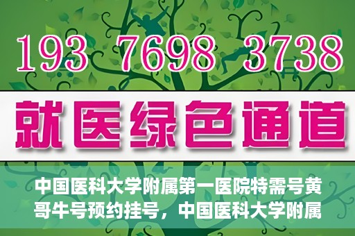 中国医科大学附属第一医院特需号黄哥牛号预约挂号，中国医科大学附属第一医院特需号黄哥牛号预约挂号攻略