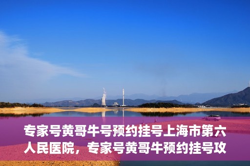 专家号黄哥牛号预约挂号上海市第六人民医院，专家号黄哥牛预约挂号攻略，上海市第六人民医院挂号指南