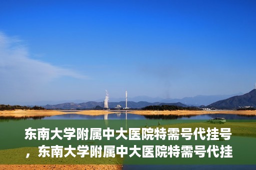 东南大学附属中大医院特需号代挂号，东南大学附属中大医院特需号代挂号服务详解