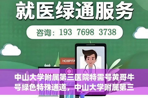 中山大学附属第三医院特需号黄哥牛号绿色特殊通道，中山大学附属第三医院特需号黄哥牛号绿色通道，专业医疗服务的特殊通道探索