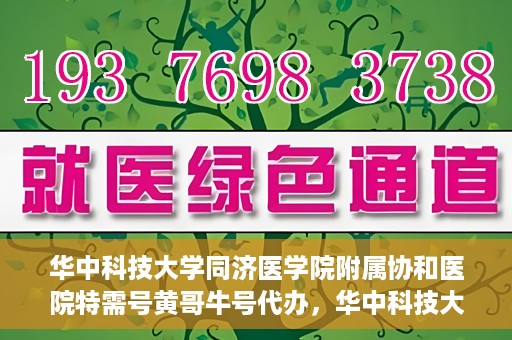 华中科技大学同济医学院附属协和医院特需号黄哥牛号代办，华中科技大学同济医学院附属协和医院特需号专家预约代办服务解析