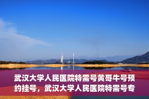 武汉大学人民医院特需号黄哥牛号预约挂号，武汉大学人民医院特需号专家黄哥牛号预约挂号攻略