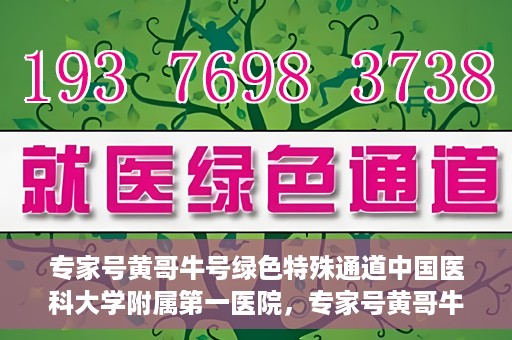 专家号黄哥牛号绿色特殊通道中国医科大学附属第一医院，专家号黄哥牛号，中国医科大学附属第一医院开辟绿色特殊通道