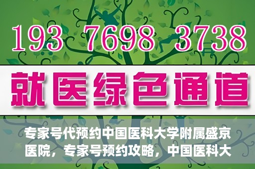 专家号代预约中国医科大学附属盛京医院，专家号预约攻略，中国医科大学附属盛京医院挂号指南