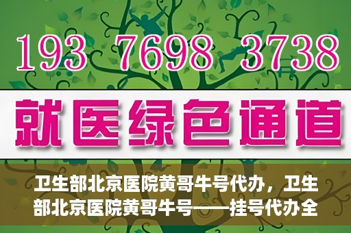 卫生部北京医院黄哥牛号代办，卫生部北京医院黄哥牛号——挂号代办全攻略