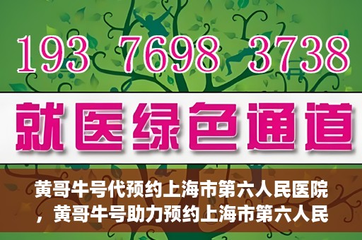 黄哥牛号代预约上海市第六人民医院，黄哥牛号助力预约上海市第六人民医院服务
