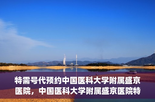 特需号代预约中国医科大学附属盛京医院，中国医科大学附属盛京医院特需号代预约服务详解