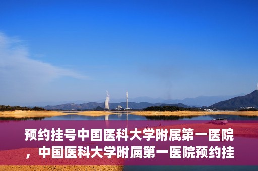 预约挂号中国医科大学附属第一医院，中国医科大学附属第一医院预约挂号系统启动，一站式服务助您轻松就医