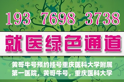 黄哥牛号预约挂号重庆医科大学附属第一医院，黄哥牛号，重庆医科大学附属第一医院预约挂号服务开启