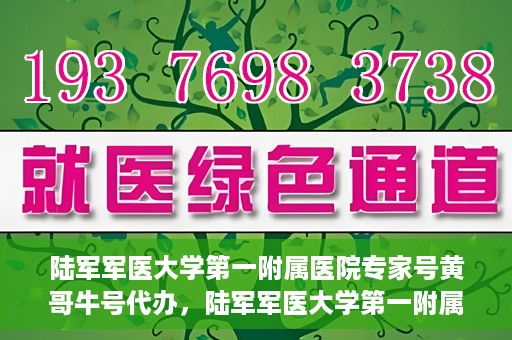 陆军军医大学第一附属医院专家号黄哥牛号代办，陆军军医大学第一附属医院专家号预约咨询与黄哥牛号代办服务
