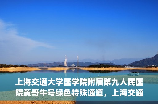 上海交通大学医学院附属第九人民医院黄哥牛号绿色特殊通道，上海交通大学医学院附属第九人民医院黄哥牛号，绿色特殊通道开启健康之门
