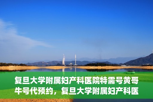 复旦大学附属妇产科医院特需号黄哥牛号代预约，复旦大学附属妇产科医院特需号黄哥牛号预约服务解析