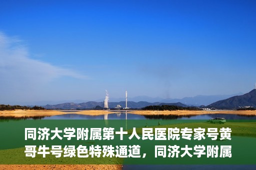 同济大学附属第十人民医院专家号黄哥牛号绿色特殊通道，同济大学附属第十人民医院专家号黄哥牛号，绿色特殊通道开启健康之门
