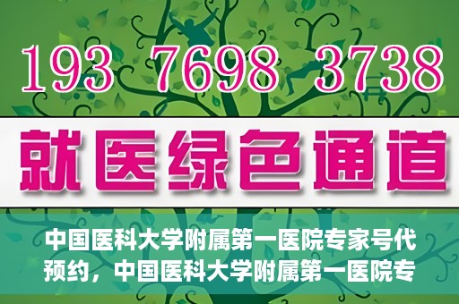 中国医科大学附属第一医院专家号代预约，中国医科大学附属第一医院专家号预约挂号服务解析