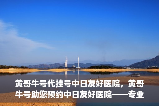 黄哥牛号代挂号中日友好医院，黄哥牛号助您预约中日友好医院——专业代挂号服务