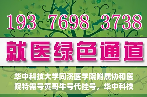华中科技大学同济医学院附属协和医院特需号黄哥牛号代挂号，华中科技大学同济医学院附属协和医院特需号黄哥牛号代挂号服务解析