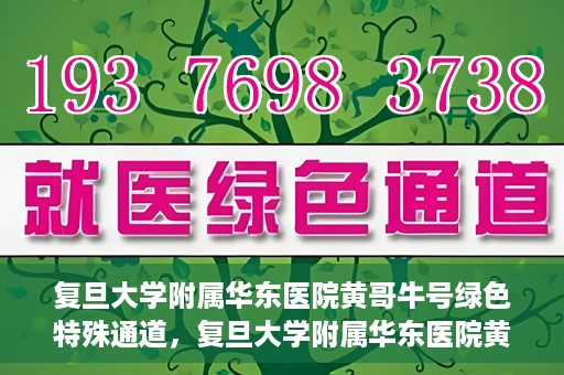 复旦大学附属华东医院黄哥牛号绿色特殊通道，复旦大学附属华东医院黄哥牛号，绿色特殊通道开启健康之门
