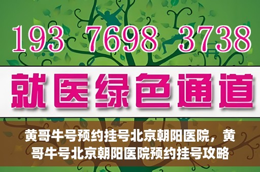 黄哥牛号预约挂号北京朝阳医院，黄哥牛号北京朝阳医院预约挂号攻略