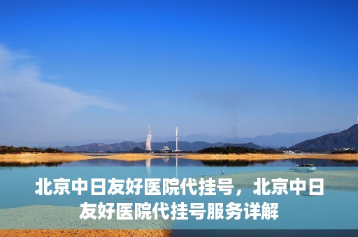北京中日友好医院代挂号，北京中日友好医院代挂号服务详解