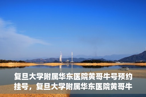 复旦大学附属华东医院黄哥牛号预约挂号，复旦大学附属华东医院黄哥牛号预约挂号攻略解析