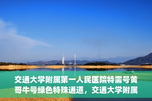 交通大学附属第一人民医院特需号黄哥牛号绿色特殊通道，交通大学附属第一人民医院特需号黄哥牛号，绿色通道的便捷之路