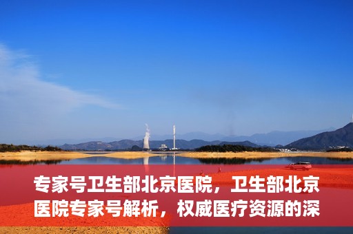 专家号卫生部北京医院，卫生部北京医院专家号解析，权威医疗资源的深度解读